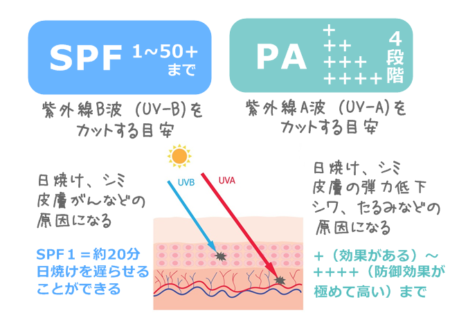 SPF&PA